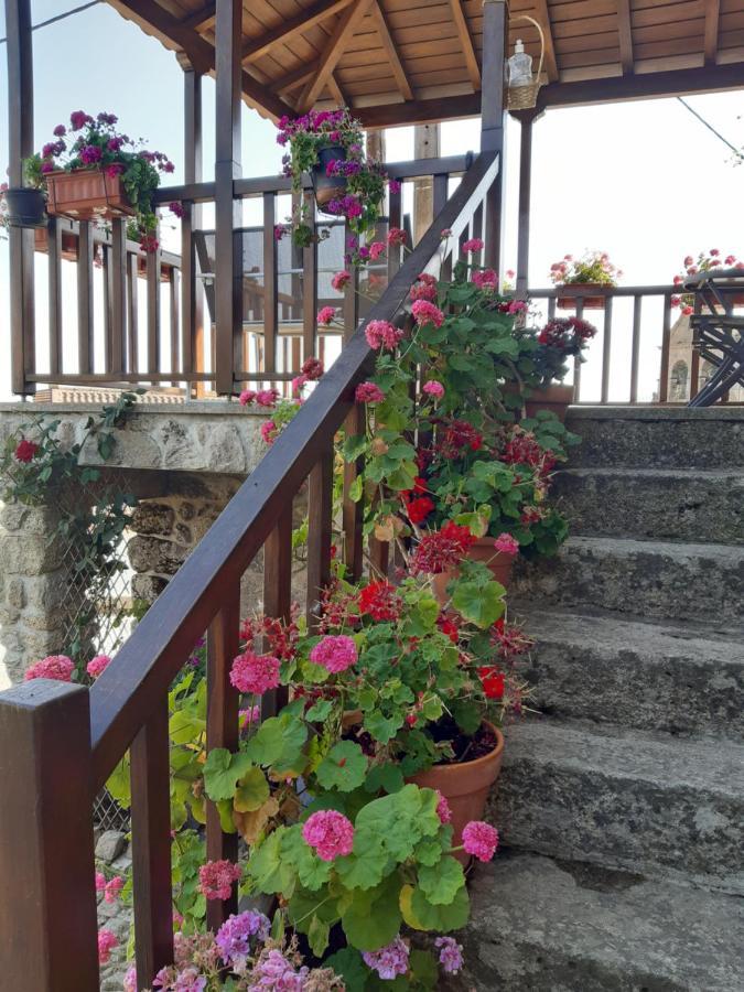 Casa Do Pelourinho Villa Rebordainhos Ngoại thất bức ảnh